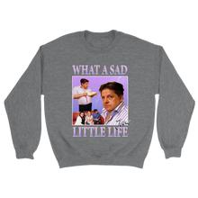 Load image into Gallery viewer, What a Sad Little Life Unisex Sweater