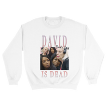 Load image into Gallery viewer, David Is Dead Unisex Sweater
